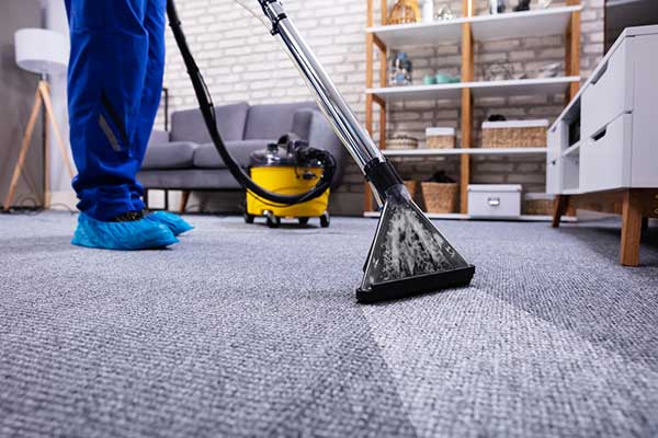 Carpet Cleaning Services Carpet Cleaning Services